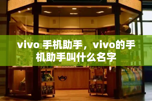 vivo 手机助手，vivo的手机助手叫什么名字-第1张图片-星选测评