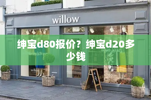 绅宝d80报价？绅宝d20多少钱