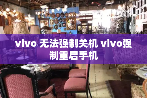 vivo 无法强制关机 vivo强制重启手机-第1张图片-星选测评