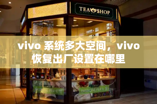 vivo 系统多大空间，vivo恢复出厂设置在哪里-第1张图片-星选测评