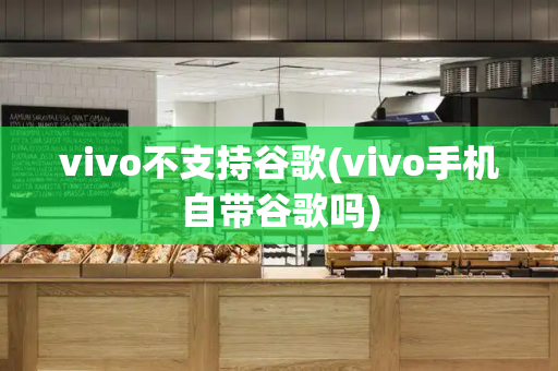 vivo不支持谷歌(vivo手机自带谷歌吗)-第1张图片-星选测评