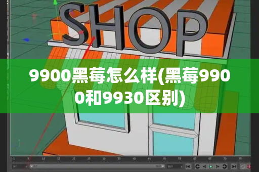 9900黑莓怎么样(黑莓9900和9930区别)-第1张图片-星选测评