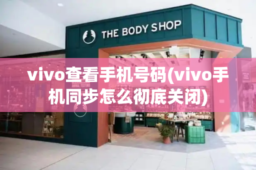 vivo查看手机号码(vivo手机同步怎么彻底关闭)-第1张图片-星选测评