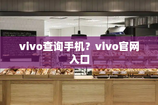 vivo查询手机？vivo官网入口