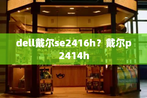 dell戴尔se2416h？戴尔p2414h