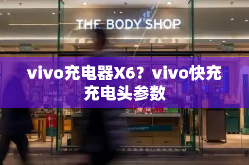 vivo充电器X6？vivo快充充电头参数-第1张图片-星选测评