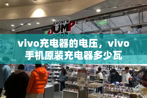 vivo充电器的电压，vivo手机原装充电器多少瓦