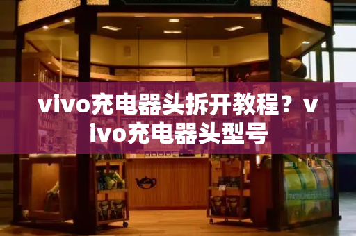 vivo充电器头拆开教程？vivo充电器头型号-第1张图片-星选测评