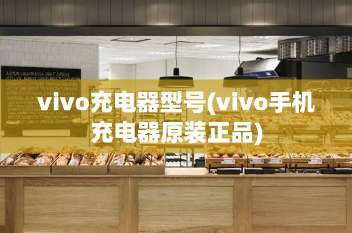 vivo充电器型号(vivo手机充电器原装正品)-第1张图片-星选测评