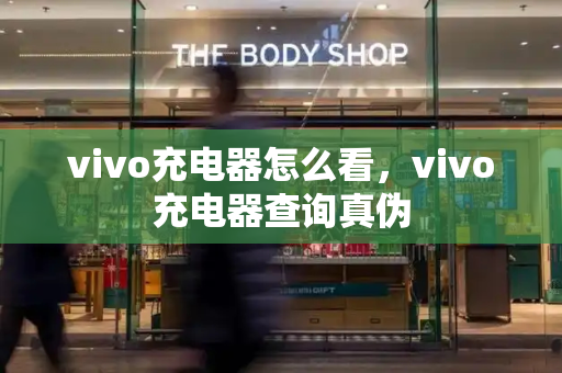 vivo充电器怎么看，vivo充电器查询真伪-第1张图片-星选测评