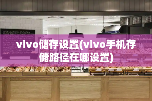 vivo储存设置(vivo手机存储路径在哪设置)