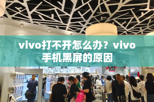 vivo打不开怎么办？vivo手机黑屏的原因-第1张图片-星选测评