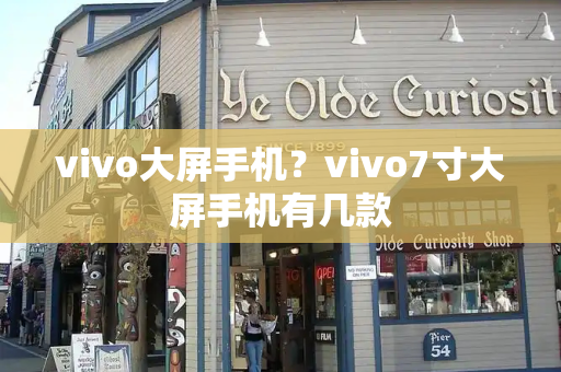 vivo大屏手机？vivo7寸大屏手机有几款