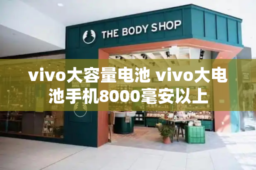 vivo大容量电池 vivo大电池手机8000毫安以上-第1张图片-星选测评