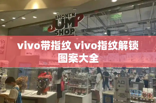 vivo带指纹 vivo指纹解锁图案大全-第1张图片-星选测评