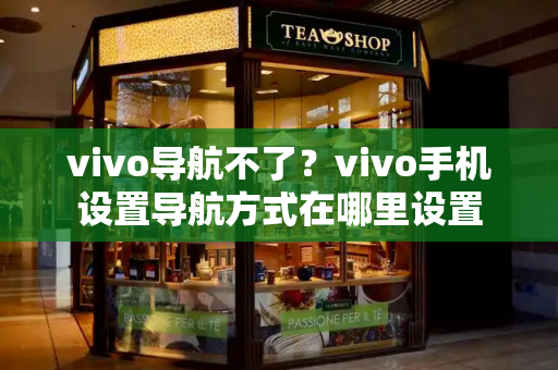 vivo导航不了？vivo手机设置导航方式在哪里设置