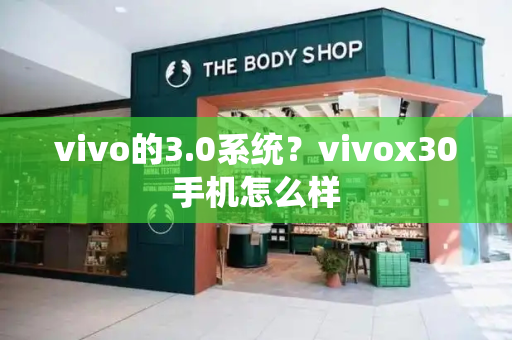 vivo的3.0系统？vivox30手机怎么样-第1张图片-星选测评