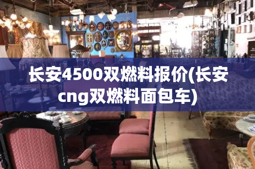 长安4500双燃料报价(长安cng双燃料面包车)-第1张图片-星选测评