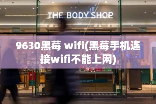 9630黑莓 wifi(黑莓手机连接wifi不能上网)