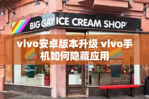 vivo安卓版本升级 vivo手机如何隐藏应用-第1张图片-星选测评