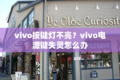 vivo按键灯不亮？vivo电源键失灵怎么办-第1张图片-星选测评