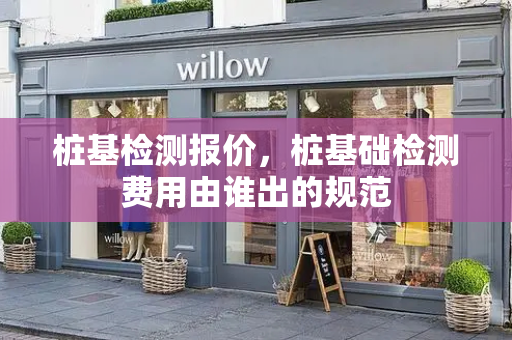 桩基检测报价，桩基础检测费用由谁出的规范-第1张图片-星选测评