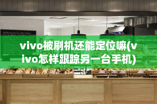 vivo被刷机还能定位嘛(vivo怎样跟踪另一台手机)