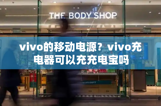 vivo的移动电源？vivo充电器可以充充电宝吗-第1张图片-星选测评