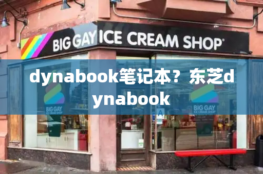 dynabook笔记本？东芝dynabook