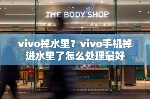 vivo掉水里？vivo手机掉进水里了怎么处理最好