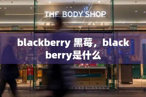 blackberry 黑莓，blackberry是什么-第1张图片-星选测评