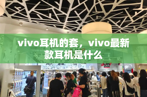 vivo耳机的套，vivo最新款耳机是什么-第1张图片-星选测评