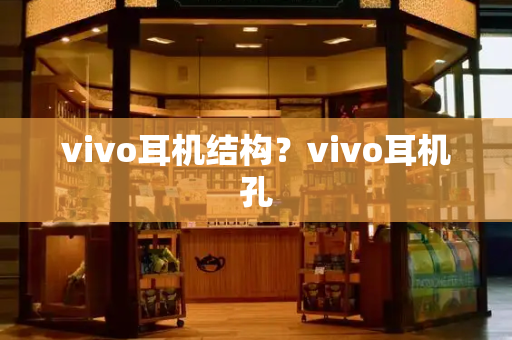 vivo耳机结构？vivo耳机孔