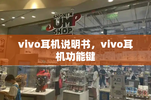 vivo耳机说明书，vivo耳机功能键-第1张图片-星选测评