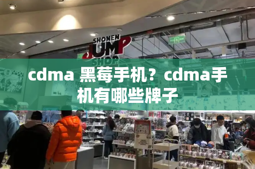 cdma 黑莓手机？cdma手机有哪些牌子