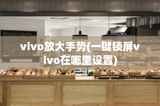 vivo放大手势(一键锁屏vivo在哪里设置)-第1张图片-星选测评