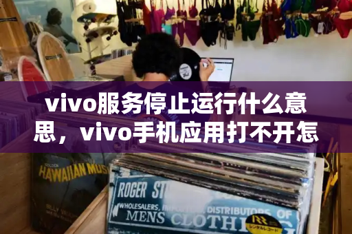 vivo服务停止运行什么意思，vivo手机应用打不开怎么回事-第1张图片-星选测评