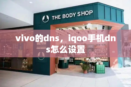 vivo的dns，iqoo手机dns怎么设置