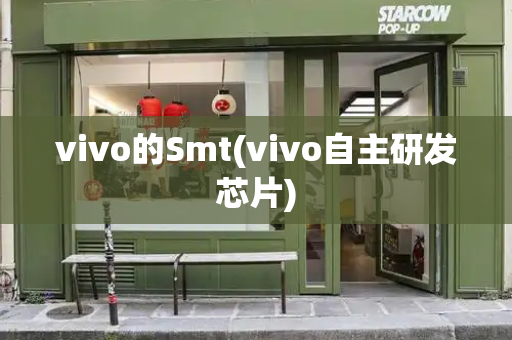 vivo的Smt(vivo自主研发芯片)