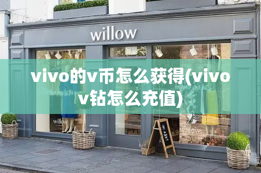 vivo的v币怎么获得(vivov钻怎么充值)-第1张图片-星选测评