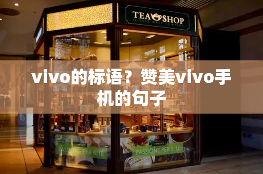 vivo的标语？赞美vivo手机的句子-第1张图片-星选测评