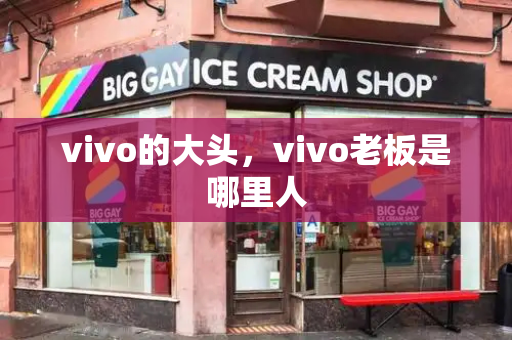 vivo的大头，vivo老板是哪里人