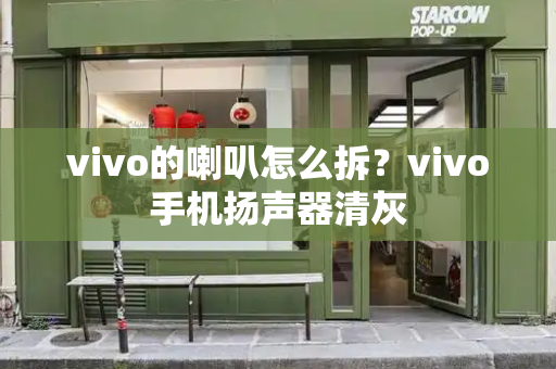 vivo的喇叭怎么拆？vivo手机扬声器清灰-第1张图片-星选测评