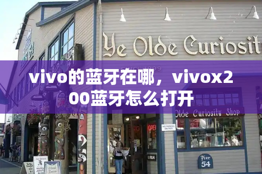 vivo的蓝牙在哪，vivox200蓝牙怎么打开-第1张图片-星选测评