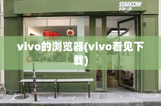 vivo的浏览器(vivo看见下载)