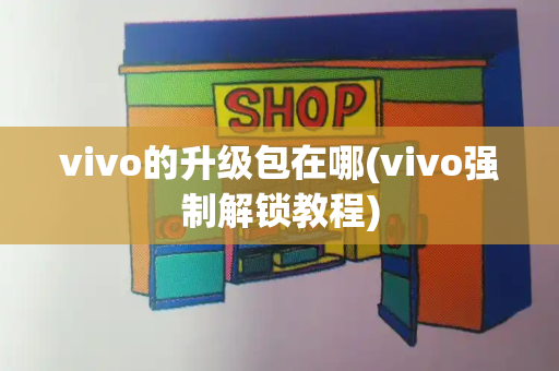 vivo的升级包在哪(vivo强制解锁教程)