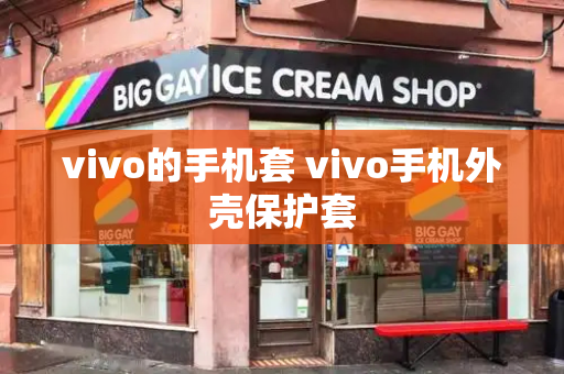 vivo的手机套 vivo手机外壳保护套-第1张图片-星选测评