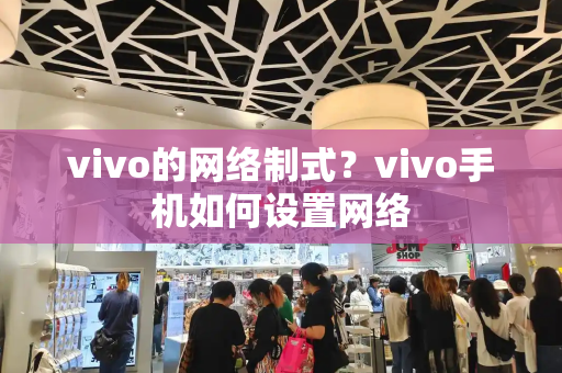 vivo的网络制式？vivo手机如何设置网络