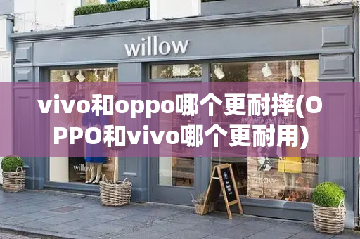 vivo和oppo哪个更耐摔(OPPO和vivo哪个更耐用)-第1张图片-星选测评