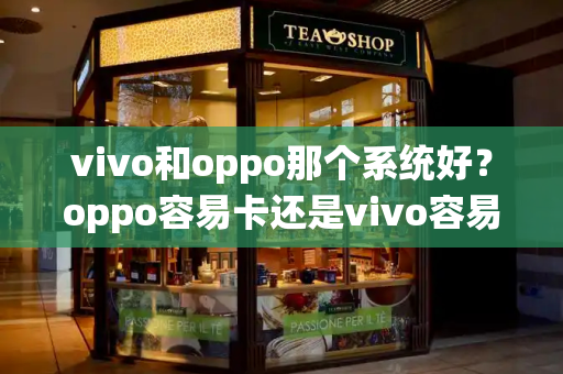 vivo和oppo那个系统好？oppo容易卡还是vivo容易卡-第1张图片-星选测评